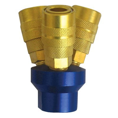 776262 Manifold w / 2 Quick Coupler